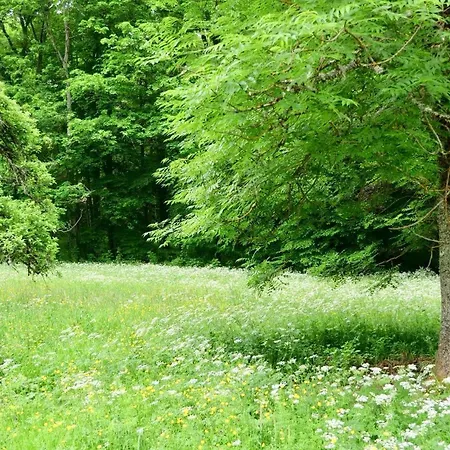 De Gudanes Château-Verdun