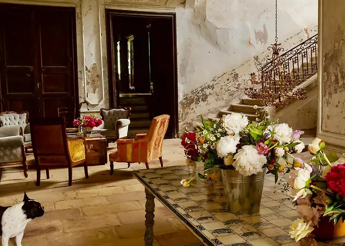 לינה וארוחת בוקר De Gudanes Château-Verdun