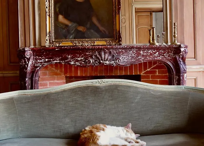 De Gudanes לינה וארוחת בוקר Château-Verdun