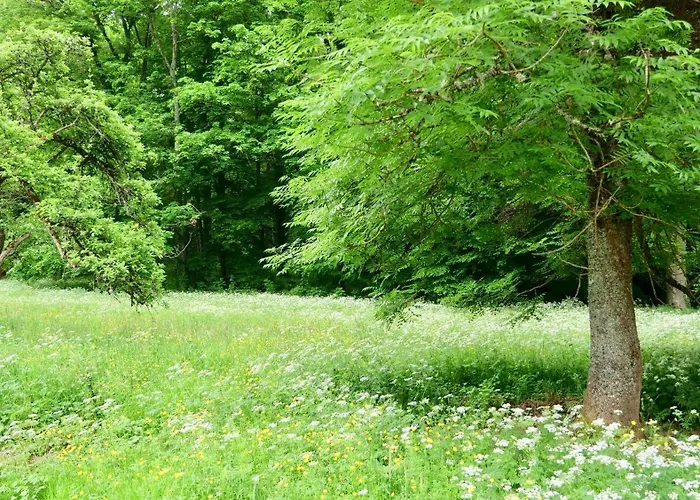 De Gudanes Château-Verdun